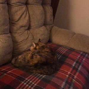 Meet your Posher, Karen